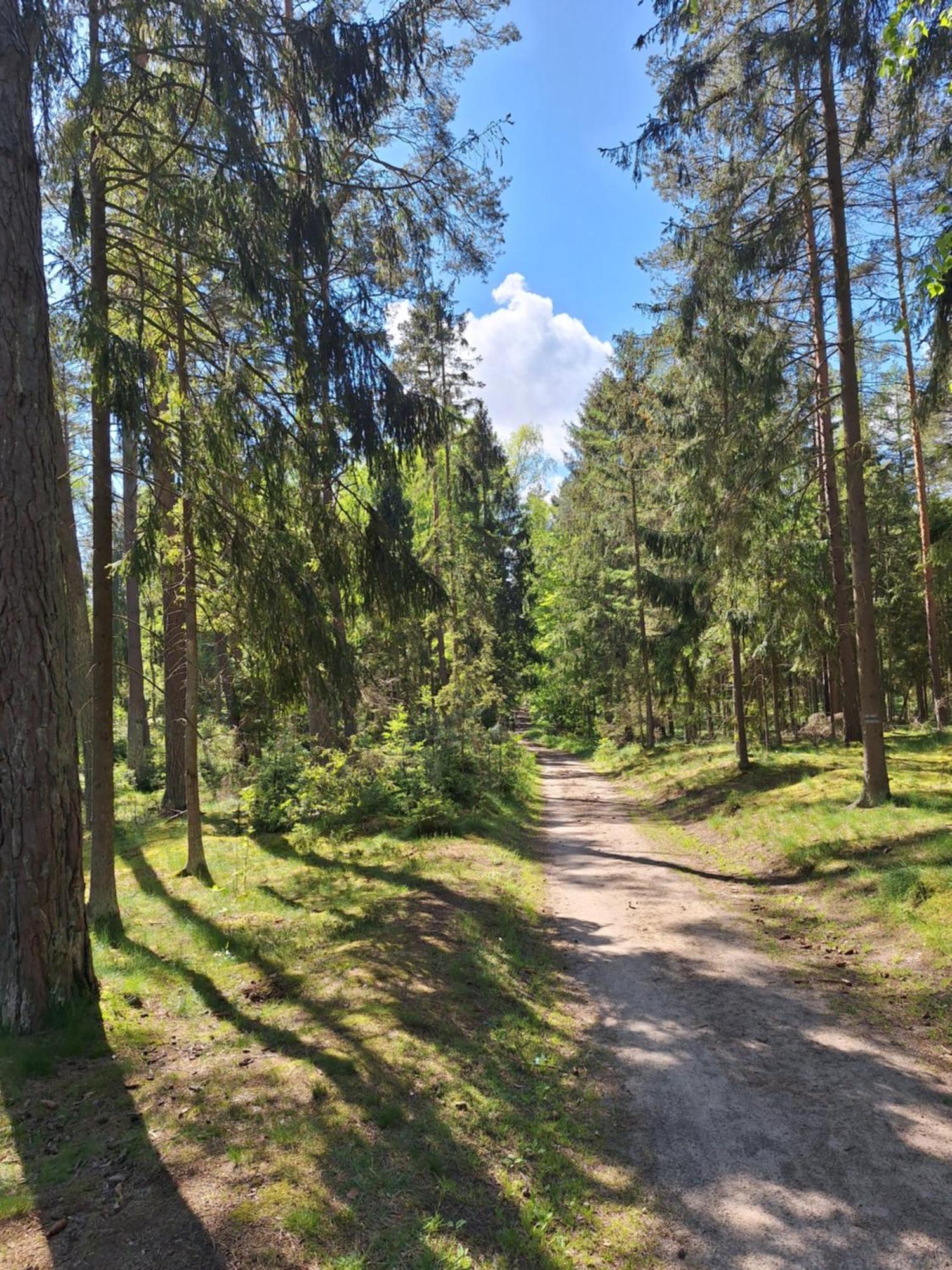 Apartmán Lake&city - Komfortowe Blisko Majaland, Jeziora, Lasu Oraz Serca Trojmiasta
