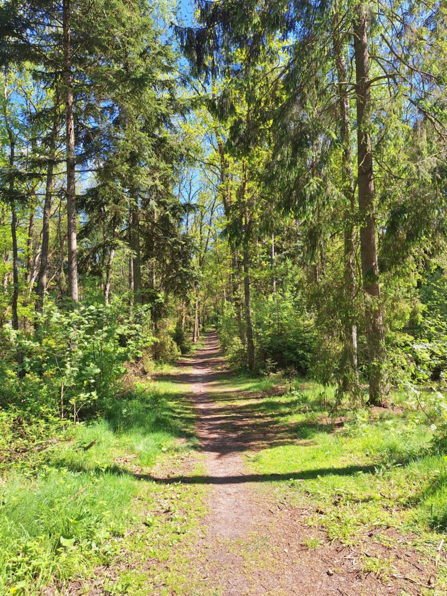 Lake&city - Komfortowe Blisko Majaland, Jeziora, Lasu Oraz Serca Trojmiasta * Gdaňsk